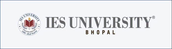 IES University